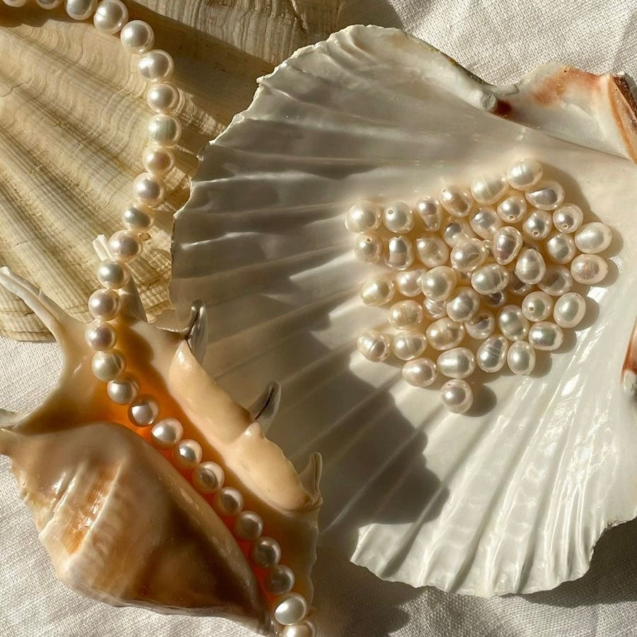 Pearls & Shells
